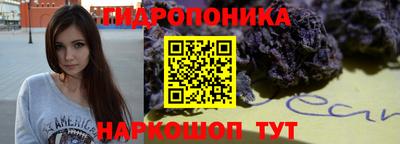 ECSTASY Краснодар