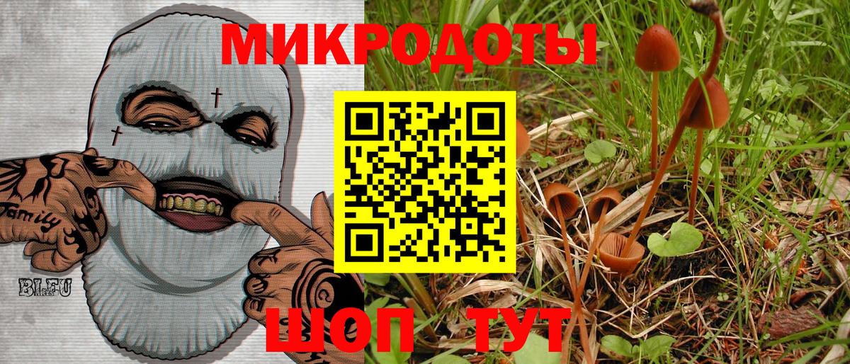 Биробиджан  Галлюциногенные грибы мухоморы  Галлюциногенные грибы прущие грибы  Вход с VPN 